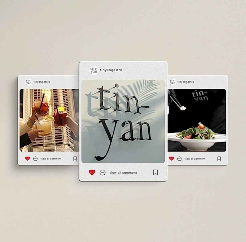 Tinyan - Social Media Concept Design
